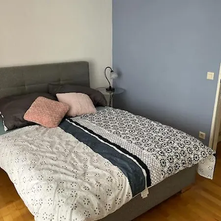 Very Nice, Central And Fully Furnished Apartment Bonn Exterior photo