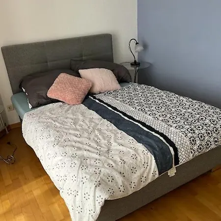 Very Nice, Central And Fully Furnished Apartment Bonn Exterior photo
