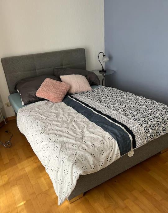Apartment Very Nice, And Fully Furnished Bonn